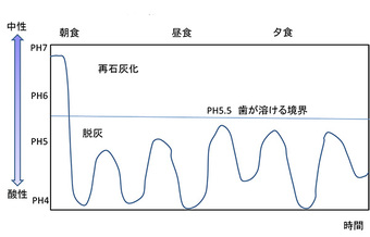 図2 頻回砂糖を摂取した場合